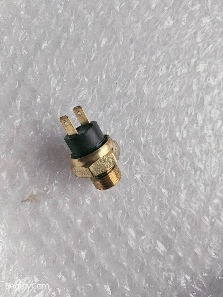 凌斌摩配 黄龙BJ600GS 300 250-15出水温开关 温控开关 2插头配件