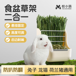 悦小萌兔子食盆草架二合一荷兰猪豚鼠防扒喂食器龙猫粮碗饭盒食槽
