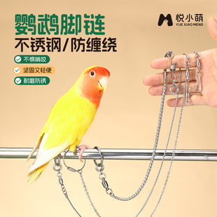 悦小萌鸟鹦鹉脚链不伤脚超轻脚环灰机小太阳站架专用防脱扣放飞绳