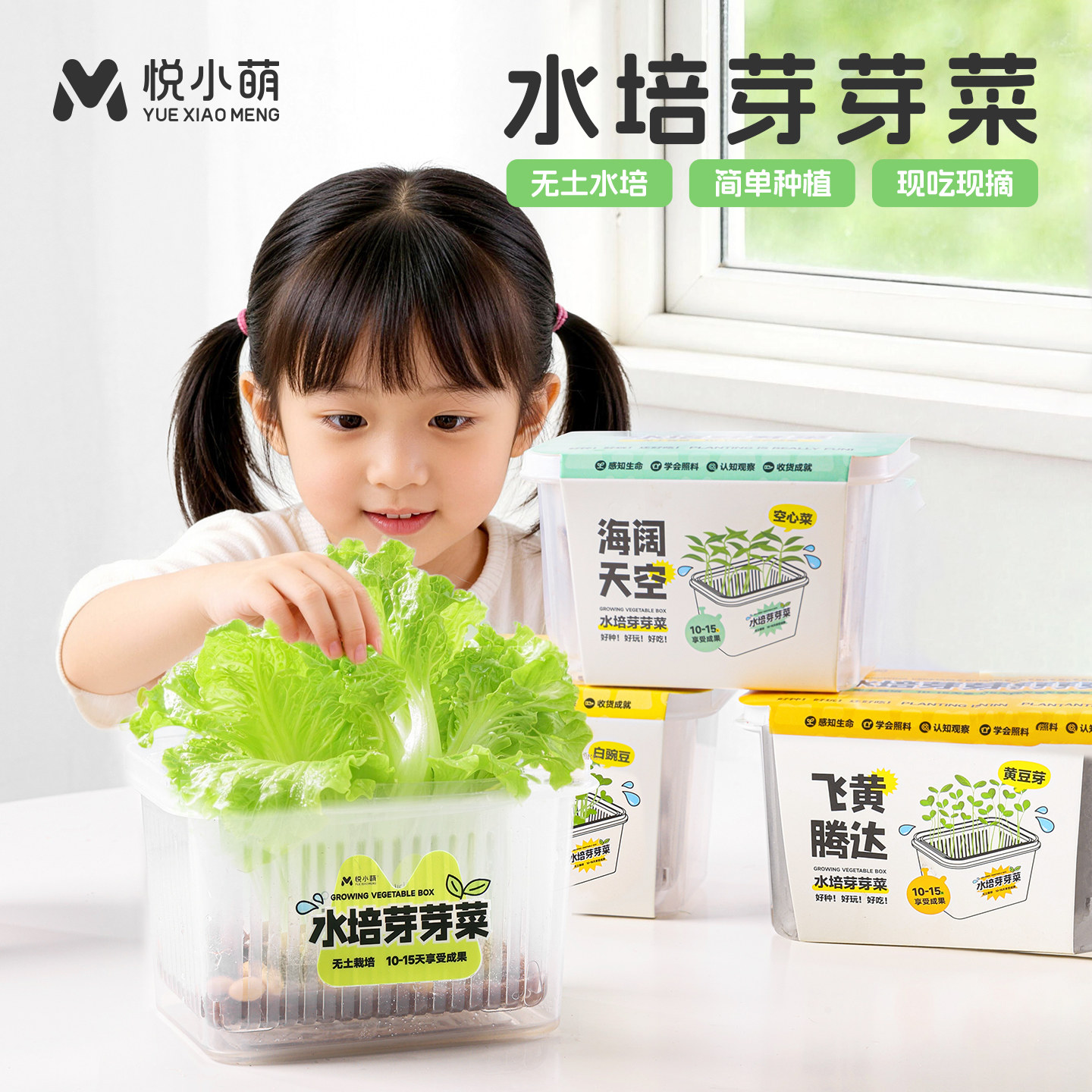 悦小萌种植小盆栽幼儿园儿童芽苗菜水培蔬菜生菜家庭无土栽培植物