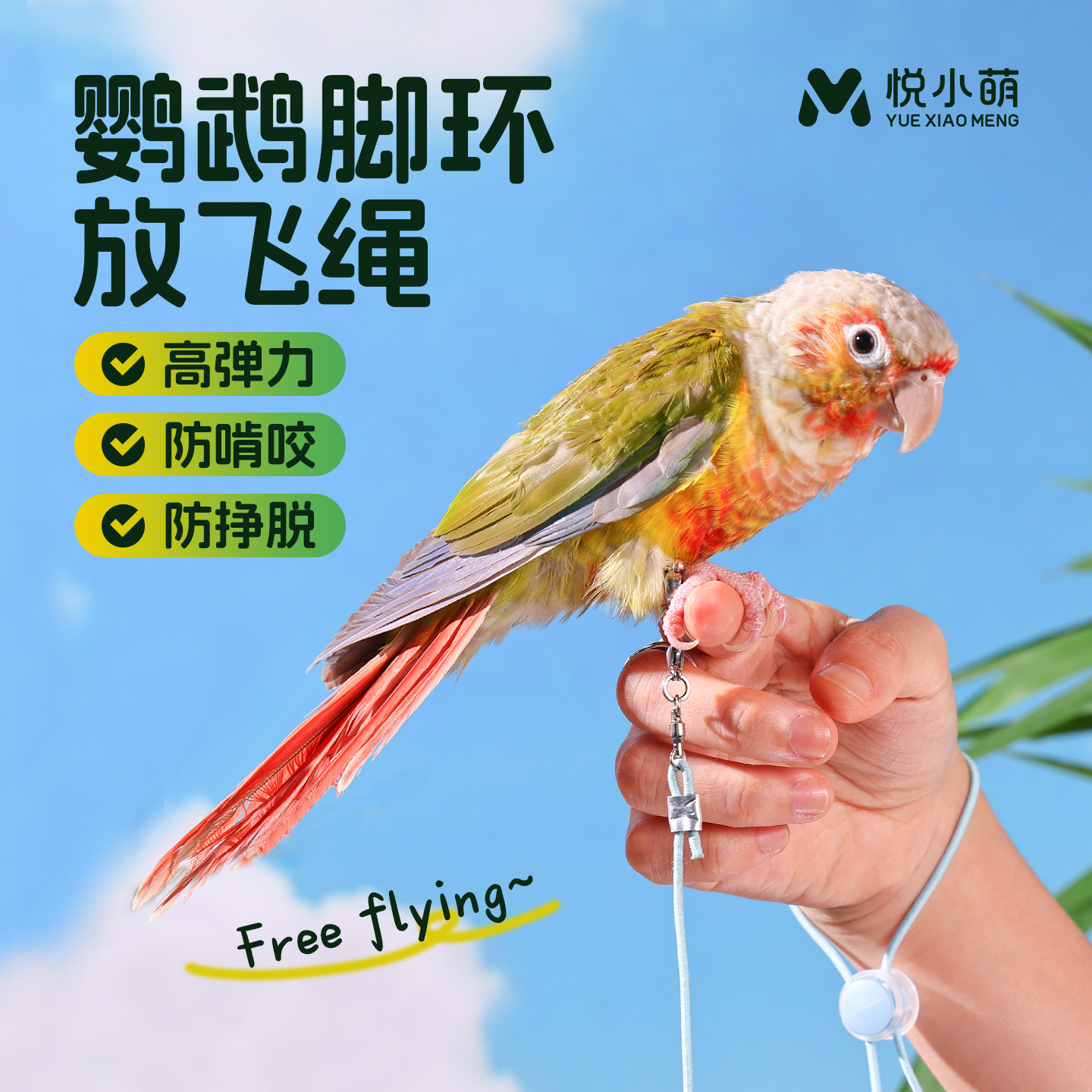 悦小萌鹦鹉牵引绳虎皮玄风牡丹外出专用脚环放飞绳子超轻遛鸟神器