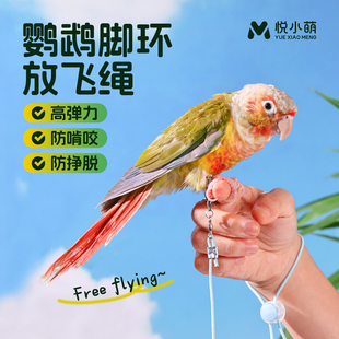 悦小萌鹦鹉牵引绳虎皮玄风牡丹外出专用脚环放飞绳子超轻遛鸟神器