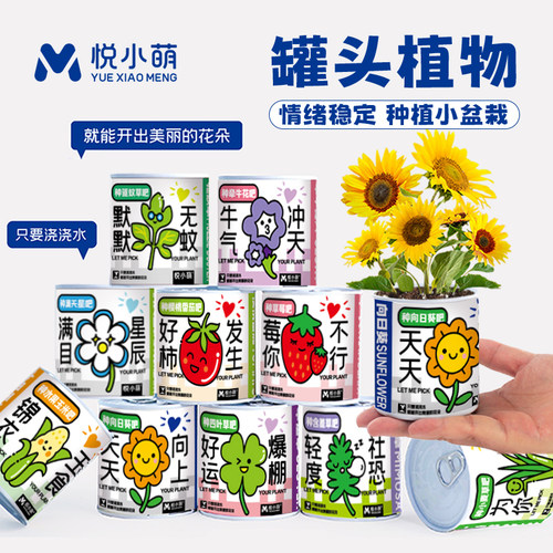 种植小盆栽桌面绿植罐头植物盲盒