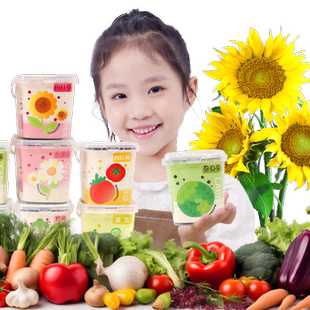 向日葵种籽种植小盆栽儿童牵牛花瓜果蔬菜套装学生植物生长观察盒