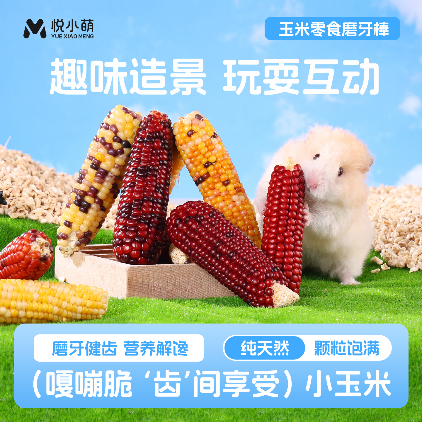 仓鼠玉米磨牙棒金丝熊花枝鼠零食