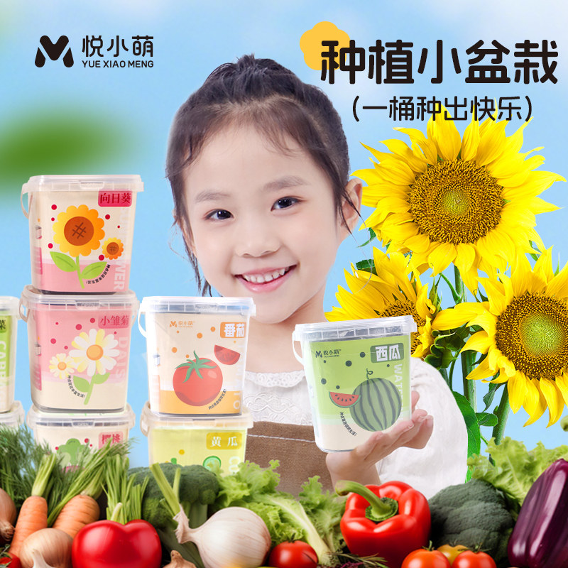 向日葵种籽种植小盆栽儿童牵牛花瓜果蔬菜套装学生植物生长观察盒,鲜花速递/花卉仿真/绿植园艺,家庭园艺种子,淘宝优惠券,粉丝福利购,淘宝优惠卷