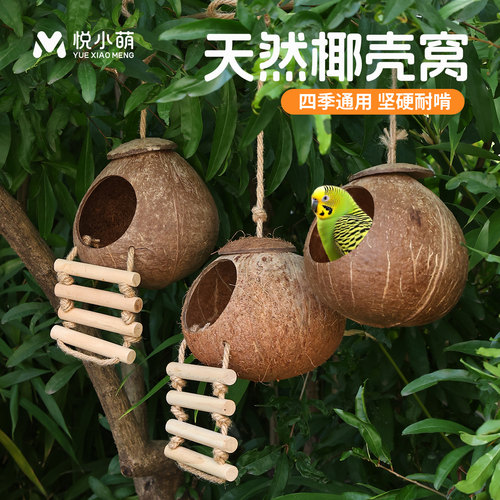 椰子壳鸟窝户外鹦鹉专用睡觉窝