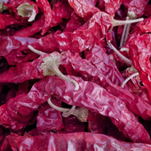 东北干辣椒红辣椒干薄皮笨辣椒农家小院自种自然晾晒2024年新货