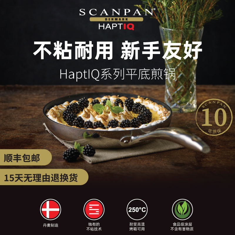 平底锅丹麦原装进口通用款