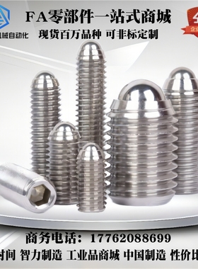 不锈钢球头柱塞BMS/BSM3/4/5/6/8/10/12/16