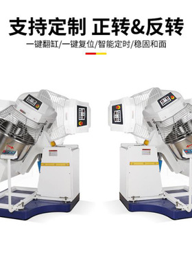大型1/2/3/4/5/6包粉翻缸和面机50/75/100/125公斤自动倒面揉面机