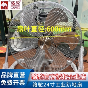 摇头爬地落地 骆驼电风扇趴地扇电扇风扇工业扇扇工厂静音家用台式
