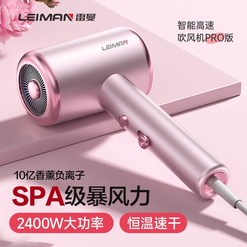 Leiman雷曼电吹风机家用大风力大