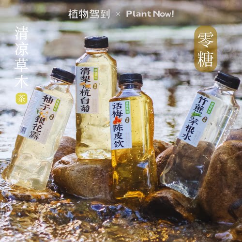 植物驾到新品饮料500ml瓶装好喝
