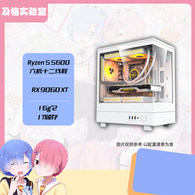 【及格实验室】RX9060XT 8G/5600电竞游戏DIY台式电脑主机