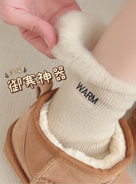 刺绣雪地袜子女中筒袜ins潮纯棉秋冬季加绒加厚保暖居家地板长袜