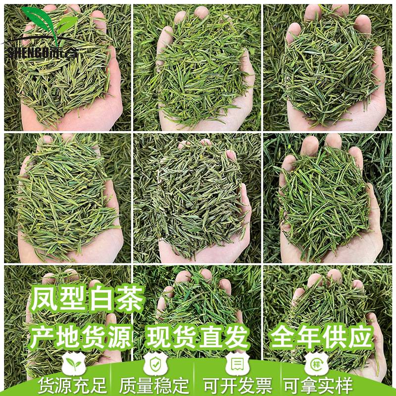 深谷2026安吉工艺浙江凤型白茶毛峰绿茶茶叶批发市场散装产地货源