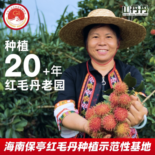 ii顺丰快递包邮海南保亭7号红毛丹毛荔枝孕妇水果新鲜果园直供礼