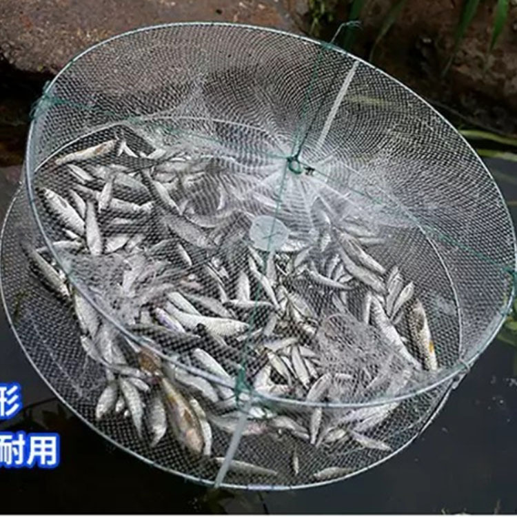 折叠龙虾网笼加密渔网黄鳝笼