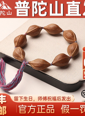 普陀山2026橄榄核蜜桃臀梅林铁核素珠手串原皮男女款文玩送情侣