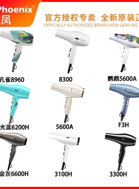 火之凤8300 8960 3100H 3300H 625610H发型师专用吹风00H 6600H