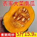 大南瓜煮粥做菜黑栗菜南瓜软香甜板栗贵族窝瓜蔬菜辅食非贝贝南瓜