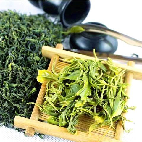 山东日照绿茶新茶板栗浓香春茶小包装茶叶礼盒高山云雾日照茶图片