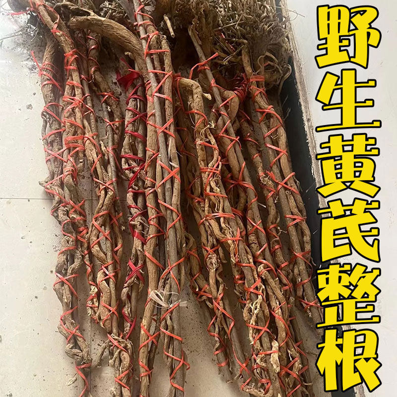 野生黄芪整根正品野黄芪整棵黄氏中药材黄芪条纯野北芪黄芪根泡水
