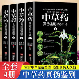 全4册中草药真伪鉴别原色图谱正版中药材饮片鉴别彩色图谱 图解本草纲目正版彩图植物图鉴中医学书籍中草药材彩色图片中草药大全