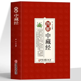图解中藏经正版 五脏六腑调理养生书文白对症图文版 黄帝内经四季养生法 中医经典医学名著 中医基础理论临床医学诊疗指南书籍