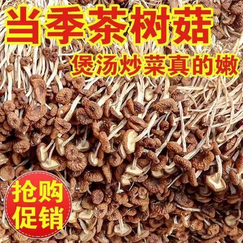 茶树菇干货农家古田500g特产新鲜香菇蘑菇金针菇俏煲汤菌菇精品