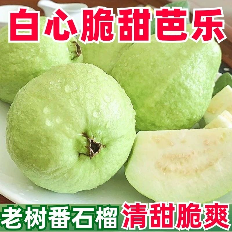 广西番石榴脆甜芭乐白心低糖热带番石榴/芭乐