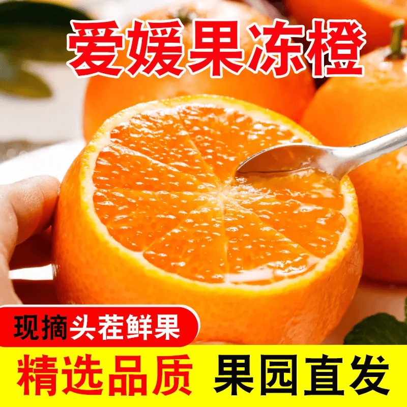 四川眉山爱媛38号果冻橙手拨橙香甜多汁新鲜应季水果现摘现发包邮