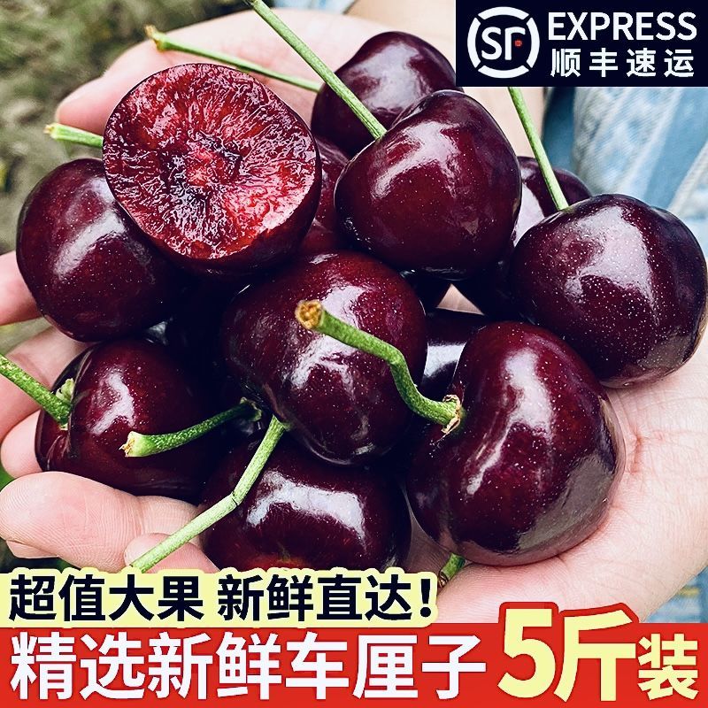 智利车厘子进口大樱桃当季精选3J/J孕妇水果顺丰快递包邮5斤