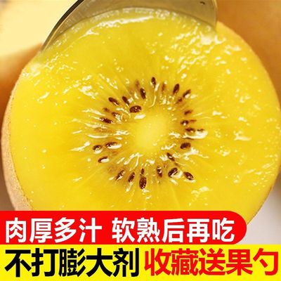四川黄心猕猴桃蒲江奇异果金大果新鲜当季水果整箱包邮孕妇弥猴桃