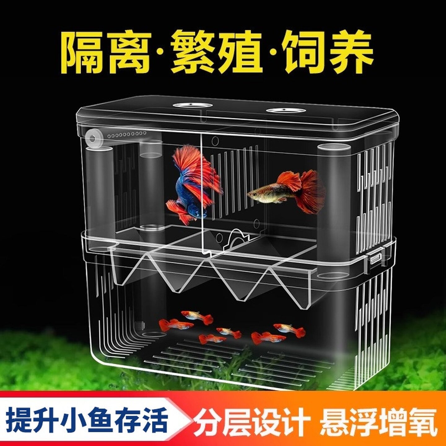 鱼缸隔离盒孔雀鱼孵化盒热带鱼小鱼幼鱼孵化盒特大号幼鱼独立产房