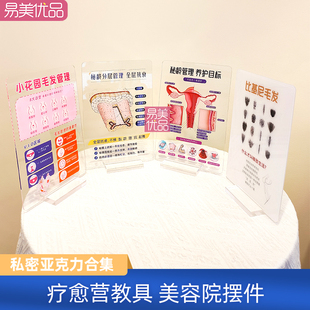 美容院场景摆件女性美体私密系列亚克力摆台沟通知识科普印刷A4