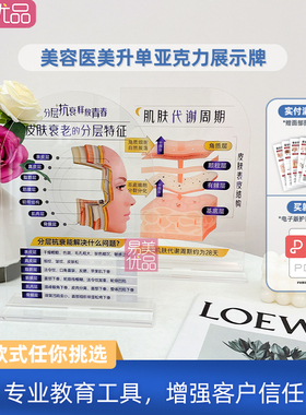美容展示牌立牌分层抗衰肌肤结构亚克力医学面部皮肤解剖知识医美
