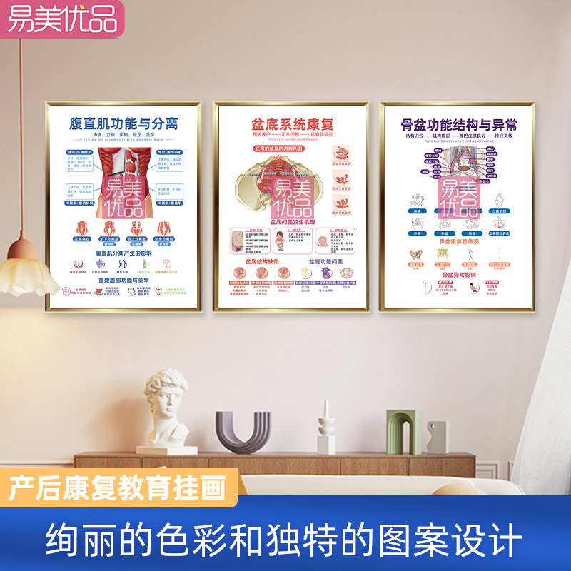 产后修复中心专用挂画腹直肌骨盆盆底系统康复知识图解教育工具,家居饰品,现代装饰画,淘宝优惠券,粉丝福利购,淘宝优惠卷