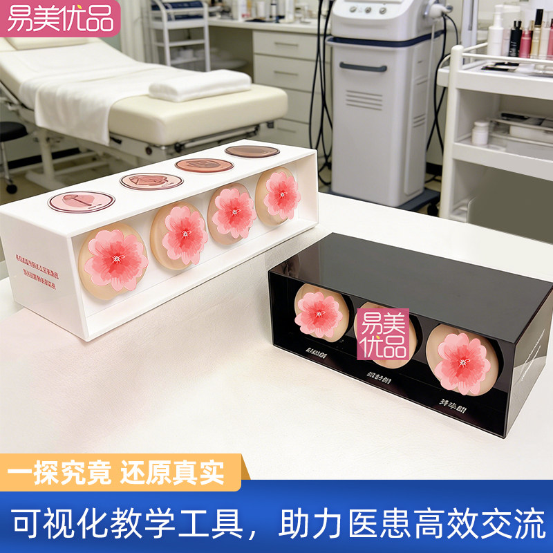 一探究竟私密模型触感通道妇产科专业教学培训科普教具美容会所演