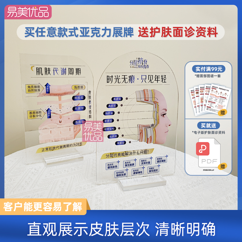 美容展示牌立牌分层抗衰肌肤结构亚克力医学面部皮肤解剖知识医美