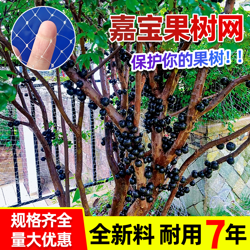防鸟网果树阳台防鸟网