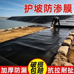 鱼塘护坡防渗膜养殖池塘鱼池护坡蓄水池防水土工布加厚黑色塑料膜
