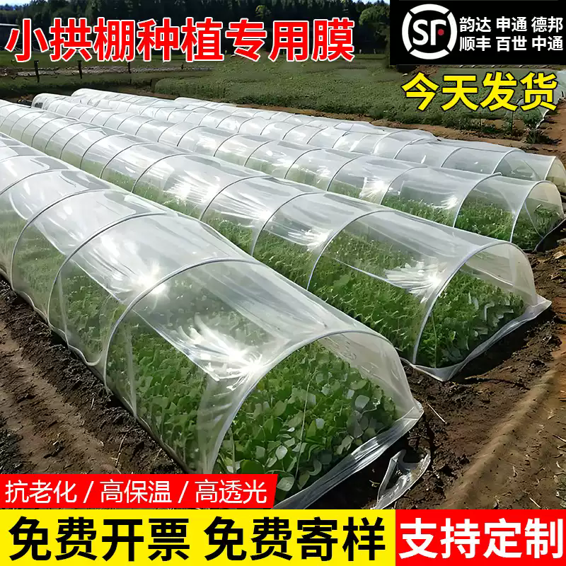 种菜小拱棚专用膜育苗薄膜果树四丝冬季大棚塑料膜蔬菜种植无滴膜