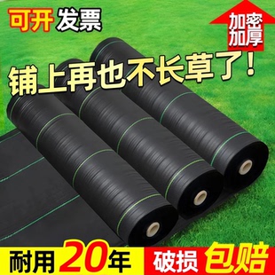 防草布除草布耐用新型盖草布果树果园农用黑地布抗老化pe膜遮草布