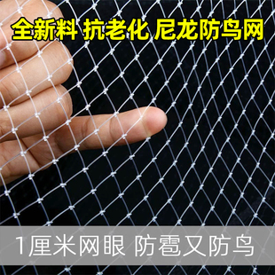 果树防鸟网果园小网孔防鸟丝网防雹网农用樱桃嘉宝果树防护罩天网