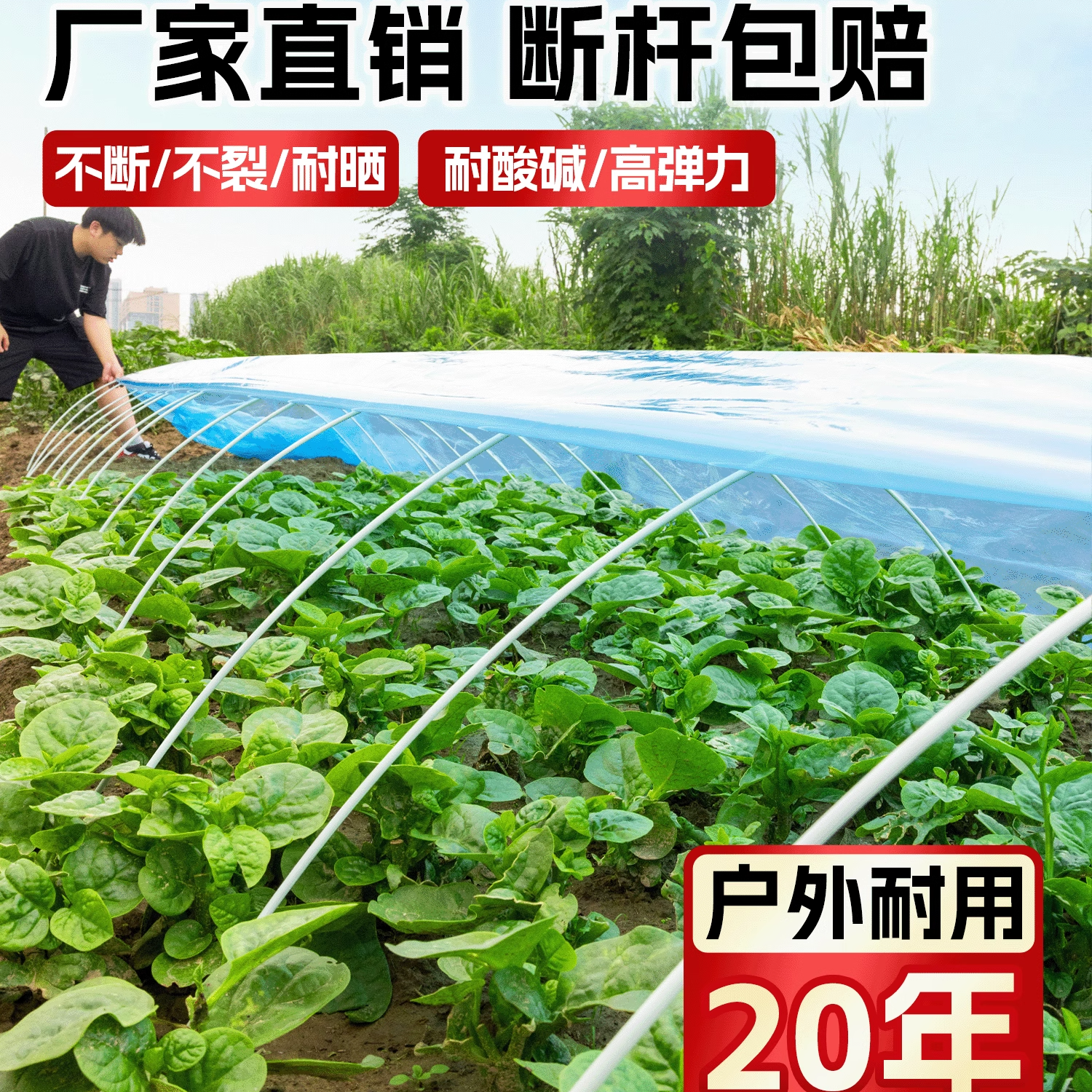 大棚支架拱杆小拱棚农用拱棚支架菜地菜园保温支撑杆子玻璃纤维杆