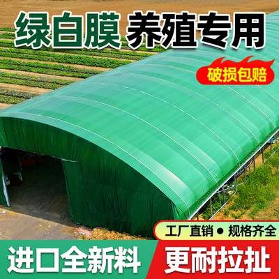 绿白膜养殖专用大棚膜防晒厚食用菌抗老化反光隔热防渗绿色塑料膜