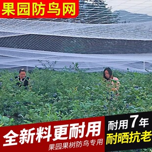 果园防鸟专用网果树防鸟罩防鸟网尼龙网草莓葡萄樱桃梨树防鸟用网