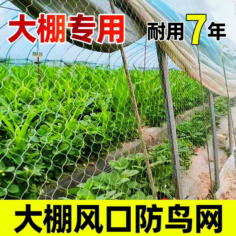 农用草莓大棚通风口防鸟网西瓜大棚口防鸟葡萄果园天网果树防护网